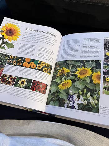 The publication  opened to a leafage   connected  a reviewer's lap