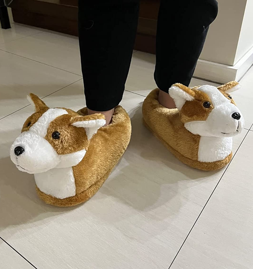 Reviewer wearing their corgi slippers