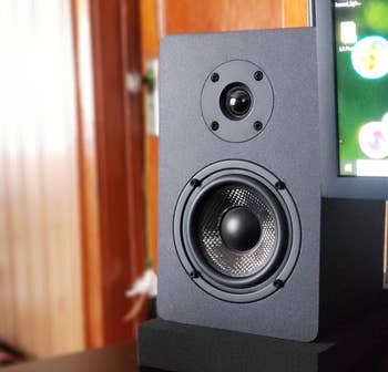 Reviewer image of black speaker next to a monitor