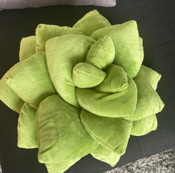 BuzzFeed writer's image of green succulent pillow on black couch