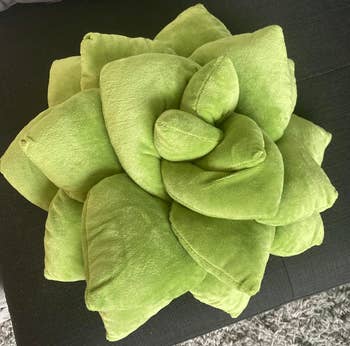 BuzzFeed writer's image of green succulent pillow on black couch