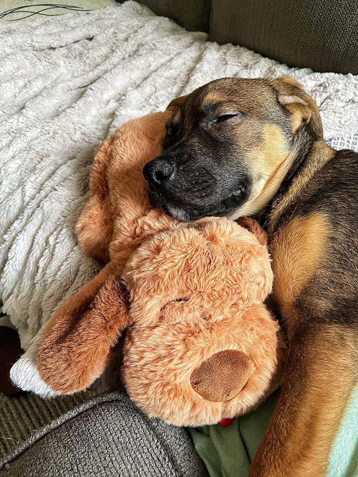 reviewer's puppy dormant  with the stuffed toy
