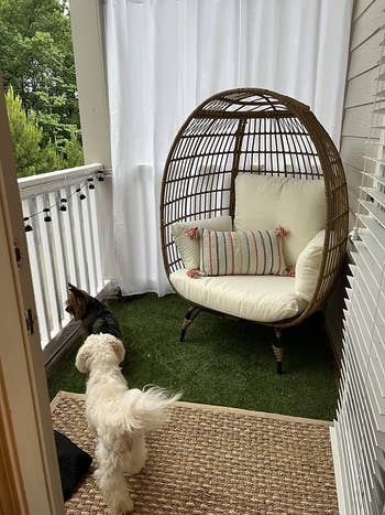 Cozy outdoor balcony with a wicker ovum  chair, striped pillow, and 2  tiny  dogs connected  artificial grass