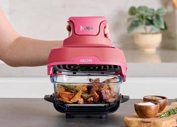 Person holding a compact Ninja CRISPi PowerPod aerial fryer with roast chickenhearted and veggies inside. Text highlights its 1500-watt powerfulness and handheld size