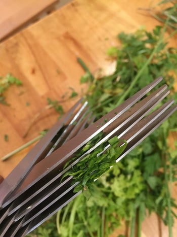 a close-up image of the herb scissors, showing five stacked blades