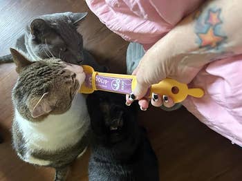 Three cats lick a pet treat held by a person with star tattoos and black nail polish