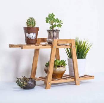 lifestyle photo, bamboo two tier stand for small plants