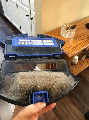 reviewer showing all the hair and dust their robot vacuum collected