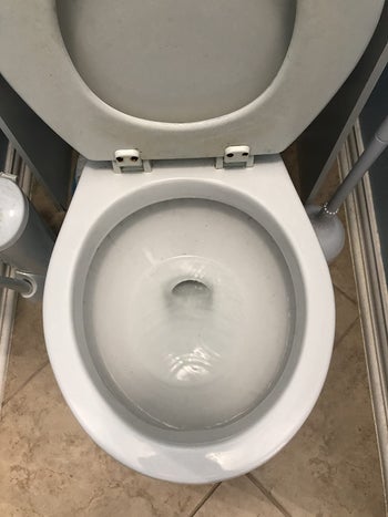 after image of the same toilet now spotlessly clean