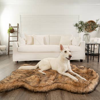 large white dog on brown faux fur bed