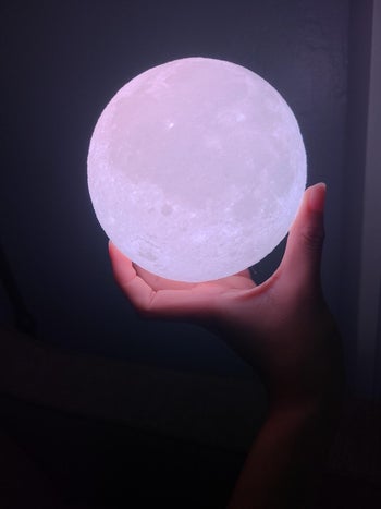 reviewer holds light in the dark