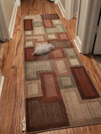 reviewer's hallway rug with pile of swept up pet hair