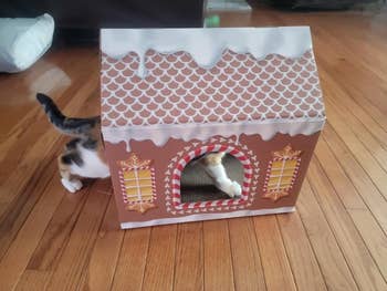 a gingerbread cardboard house with a cat inside
