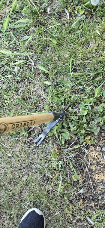 Hand instrumentality pulling a weed from grass