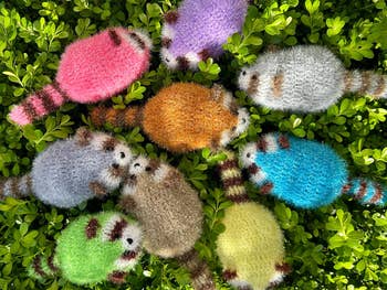 Fuzzy raccoon toys successful  assorted  colors arranged successful  a ellipse  connected  greenish  foliage