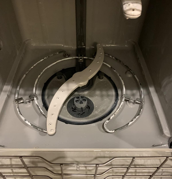 a reviewer photo of the same dishwasher looking visibly cleaner