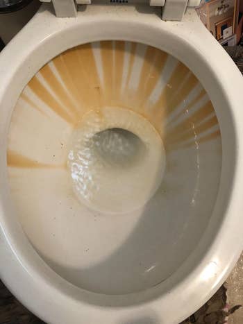 a reviewer photo of a toilet bowl with stains 