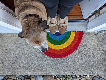 a reviewer's rainbow door mat with a reviewer standing on it and a dog