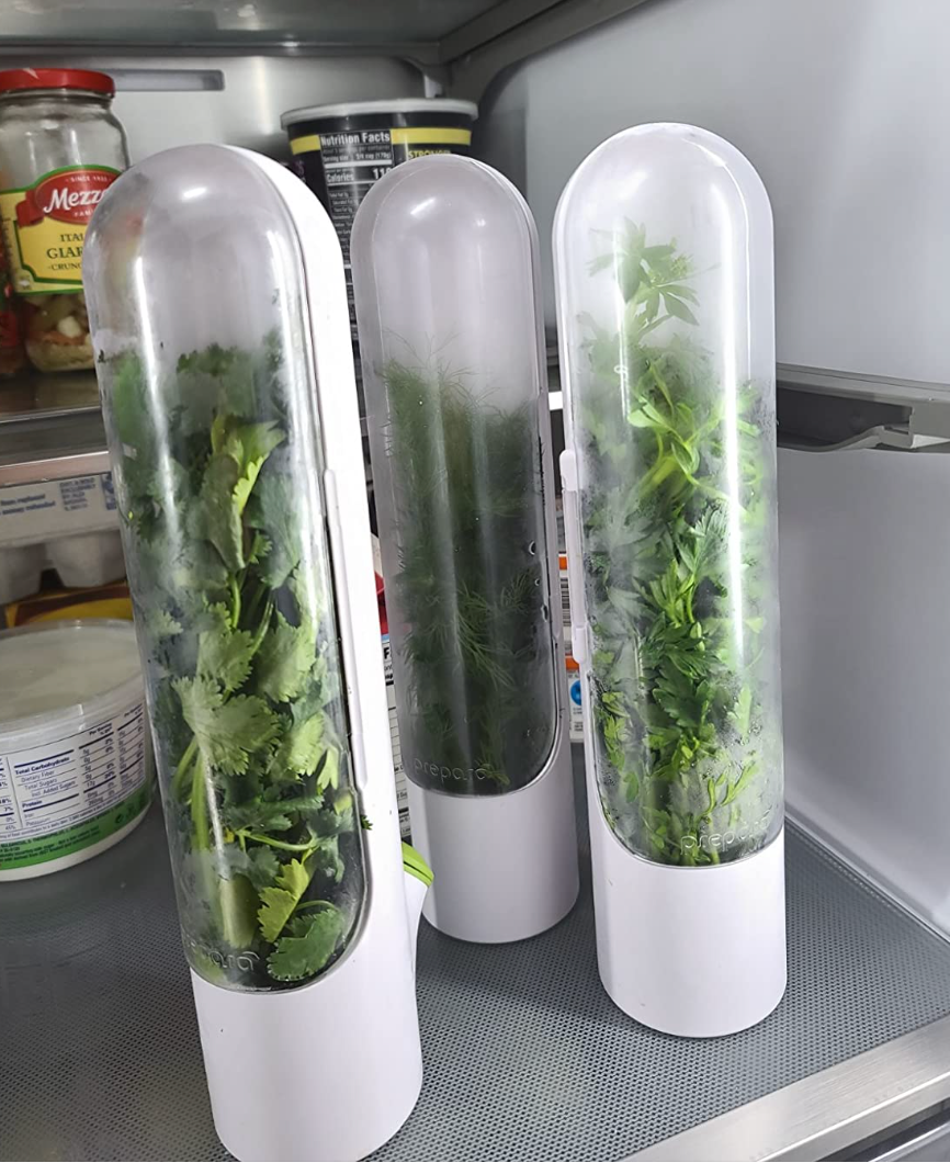 Three cylinder shaped white containers with herbs in them in a fridge 