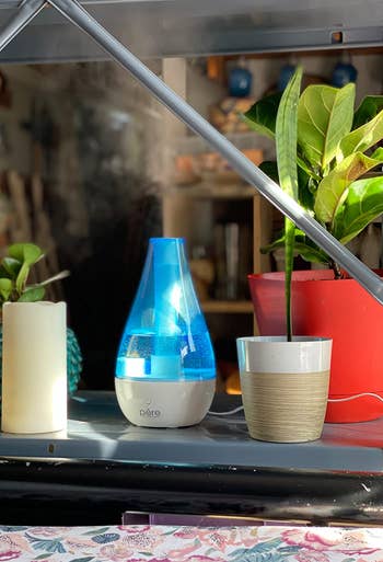 reviewer's small humidifier misting a shelf with plants on it