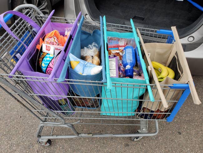 reviewer image of purple, blue, light blue, and tan bags in a grocery cart
