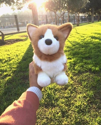 Reviewer holding up small stuffed corgi