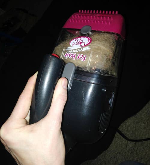 reviewer's hand holding the black and pink bissell handheld vacuum filled with pet fur