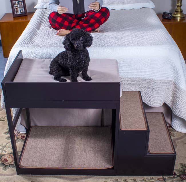 Brown wooden and carpeted dog stairs with bed underneath and on top connected to white bed with dog sitting on top