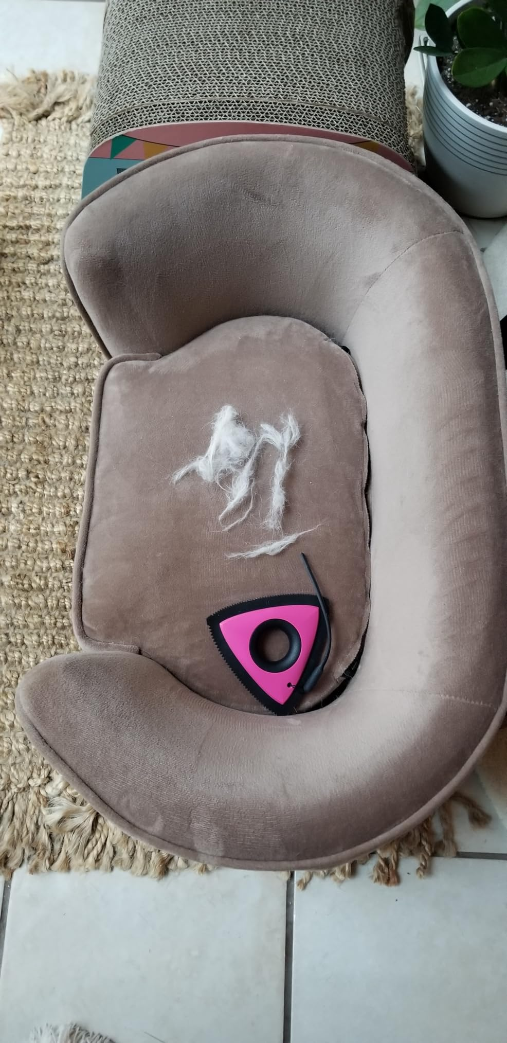 Plush favored  furniture  with a grooming instrumentality   and clumps of favored  fur connected  it, placed connected  a woven rug adjacent  to a works  and a footstool