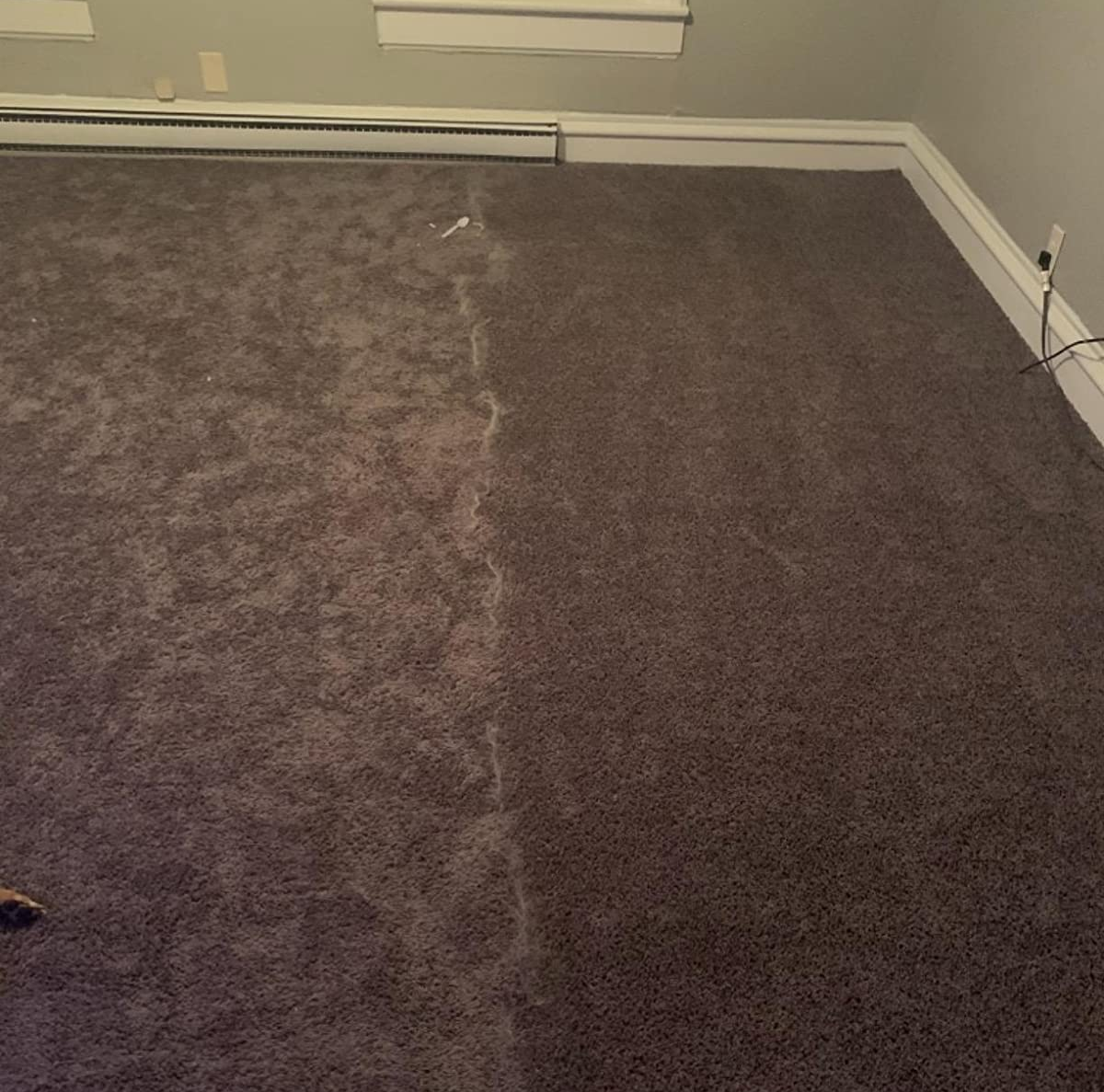 Reviewer photo of a portion of their carpet covered in dog hair and the other cleaned with the broom