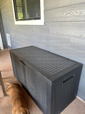 reviewer's black box stored outside with lid shut