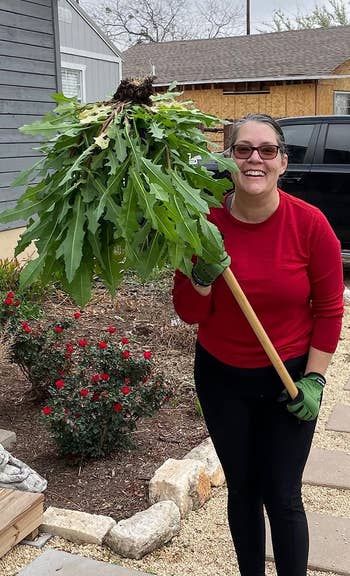 reviewer standing with the tool with a big weed stuck to the end