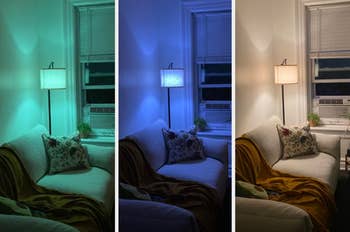  teal, blue, and lukewarm  white