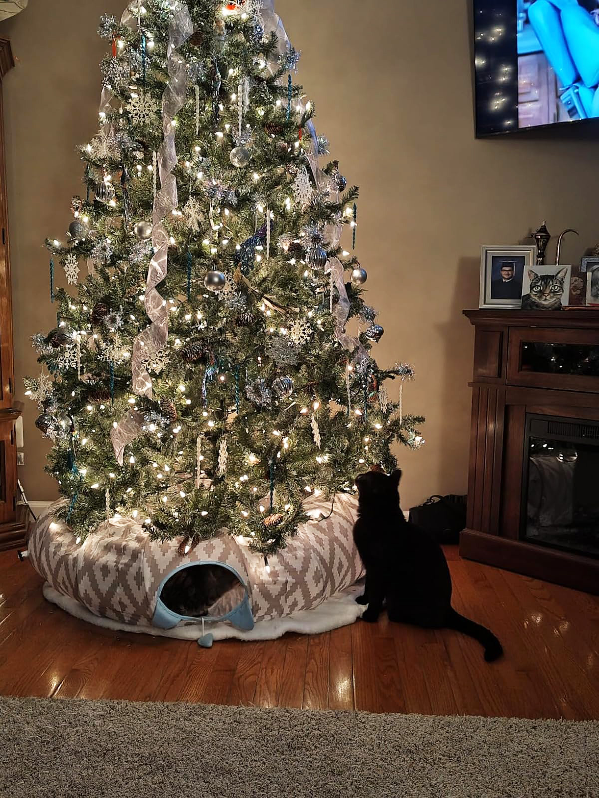 38 Must-Have Cat Products Every Owner Needs