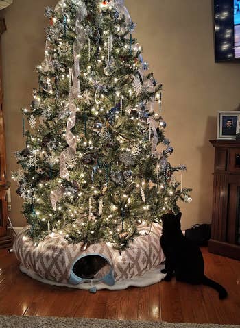 38 Must-Have Cat Products Every Owner Needs