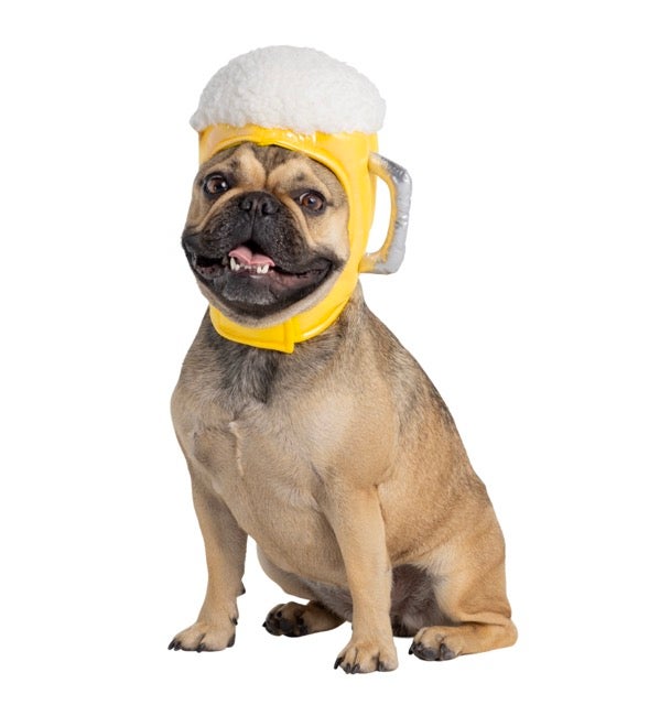 dog with a beer head piece on