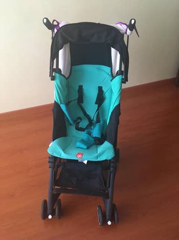 reviewer image of the black and teal stroller
