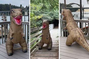 Triptych of reviewer images of T-Rex toy in different outdoor locations 