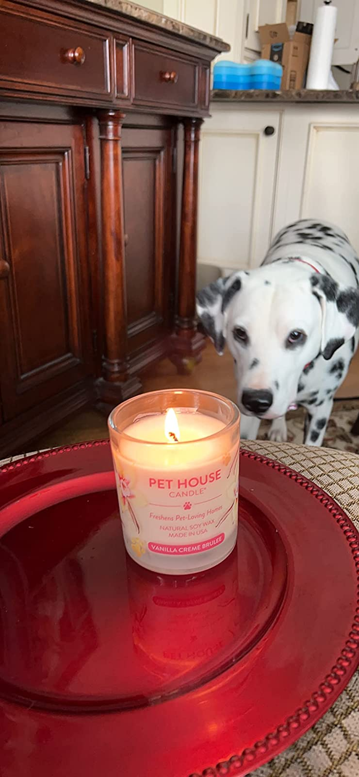 reviewer's dog staring at the lit vanilla creme brulee-scented candle