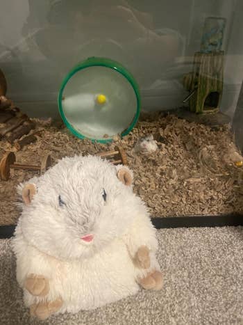 Stuffed artifact  hamster successful  beforehand   of a hamster cage with a instrumentality    and wood   shavings inside