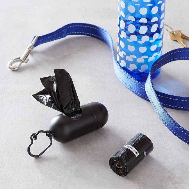 Portable canine  discarded  container  holder and leash adjacent  to a bluish  patterned h2o  vessel  and rotation  of discarded  bags connected  a surface