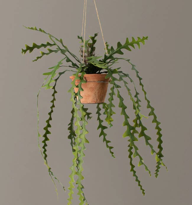 Fake ric rac cactus in a clay pot hanging by rope in front of gray wall