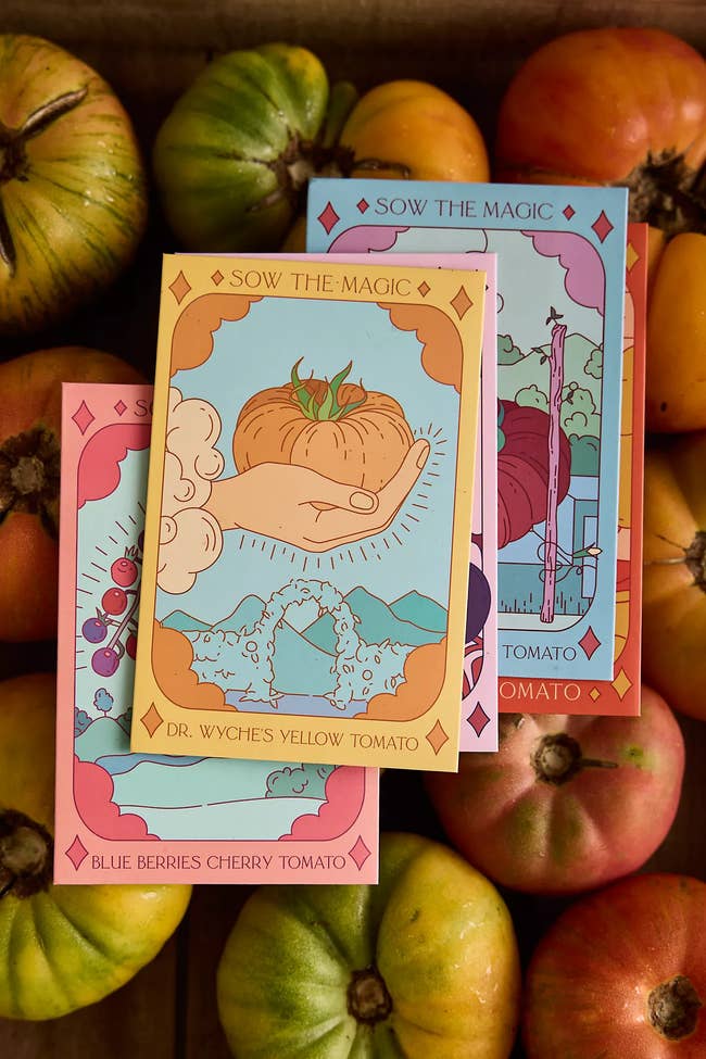 Seed packets featuring illustrated manus holding fruits, labeled for Dr. Wyche's Yellow Tomato and Blue Berries Cherry Tomato, connected a herb background