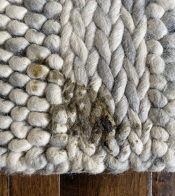 a reviewer photo of a stain on their rug