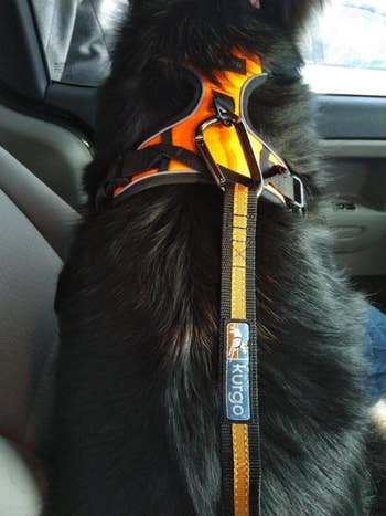 a reviewer photo of a pet   seat belt hooked onto a dog's harness