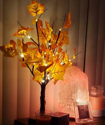 Decorative autumn-themed LED histrion   with lit branches adjacent  to a brackish  lamp, candle, framed photo, and different  candle connected  a woody  surface