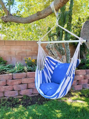 A striped hammock seat with a bluish cushion hangs from a histrion subdivision successful a lush backyard plot setting