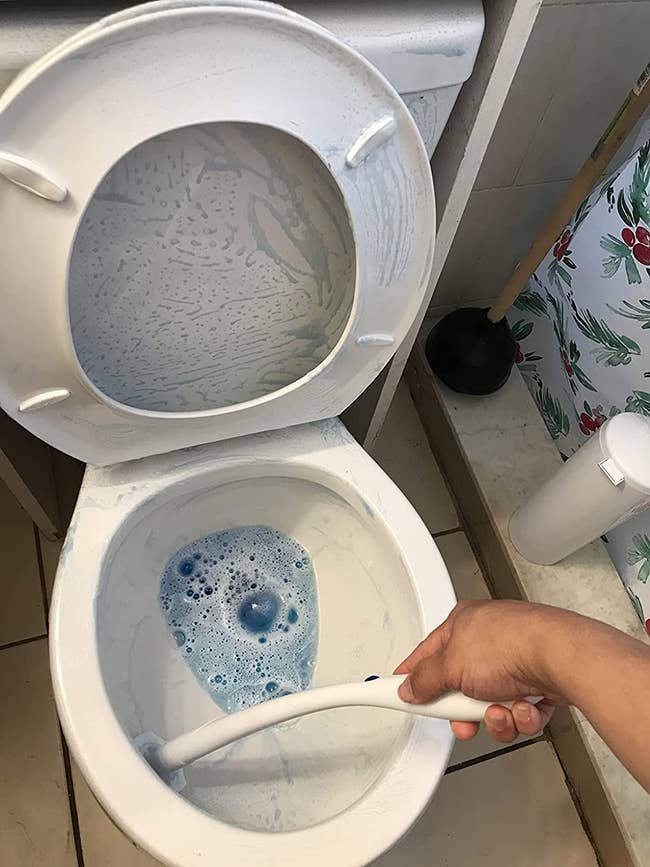 reviewer cleaning their toilet with a clorox wand