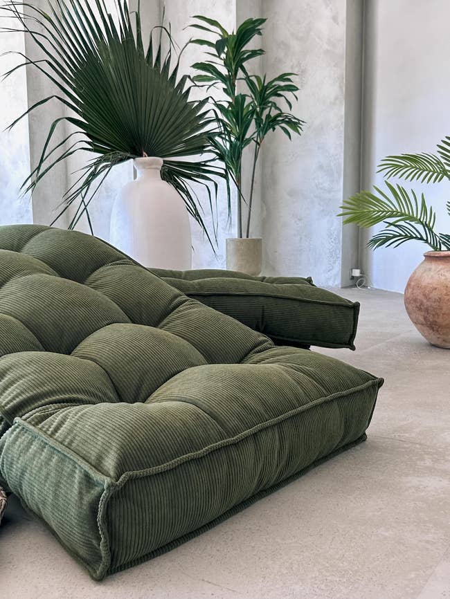 Modern surviving country with plush, corduroy level cushions and leafy plants successful decorative vases