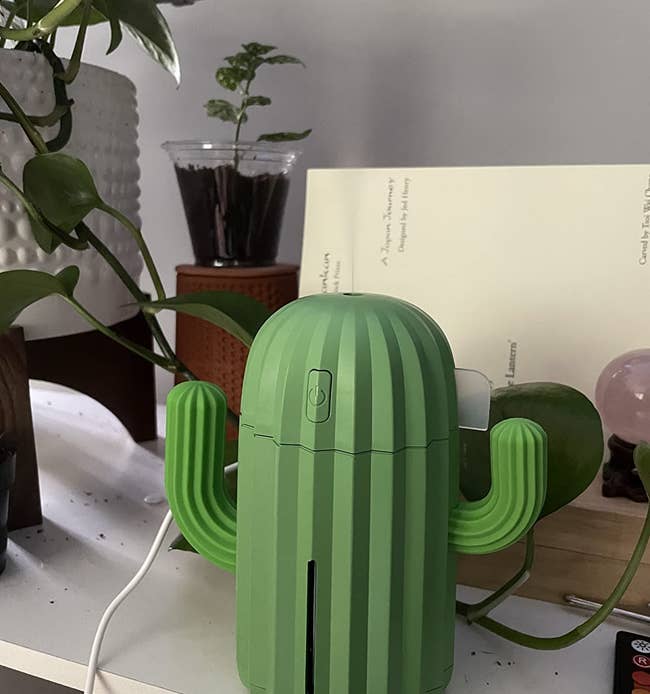 reviewer image of a green humidifier with two arms that looks like a cactus with steam coming out of it